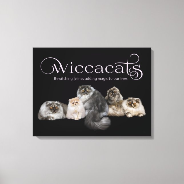 WiccaCats art canvas (Front)