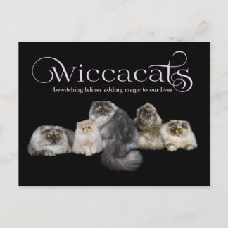 WiccaCats LARGE business card