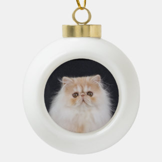 WiccaCats Meira ball ornament
