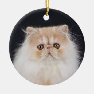 WiccaCats Meira round ornament