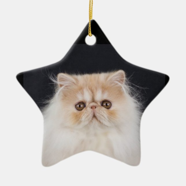 WiccaCats Meira star ornament (Front)
