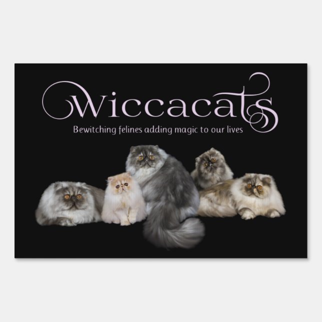 WiccaCats show sign (Front)