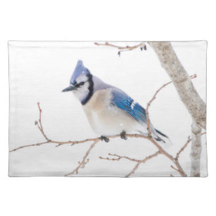 Wichita County, Texas. Blue Jay Cloth Placemat