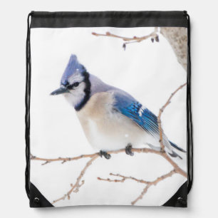 Wichita County, Texas. Blue Jay Drawstring Bag