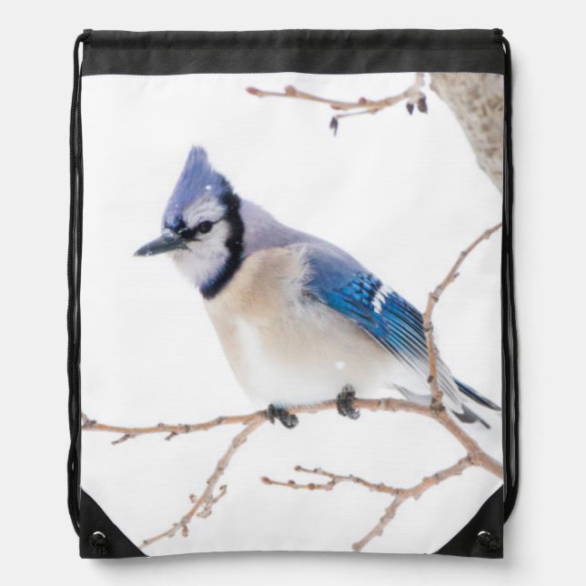 Wichita County, Texas. Blue Jay Drawstring Bag (Front)