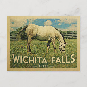 Wichita Falls Texas Horse Farm - Vintage Travel Postcard