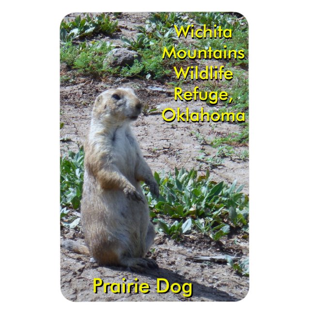 Wichita Mountains Wildlife Refuge Prairie Dog Magnet (Vertical)