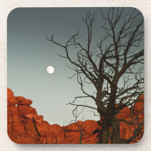 Wicked Moon Beverage Coaster (Front)