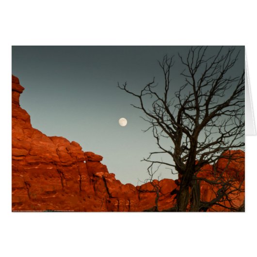 Wicked Moon Cards (Front Horizontal)