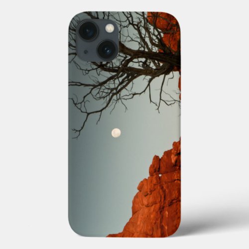 Wicked Moon iPhone 13 Case