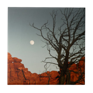 Wicked Moon Ceramic Tile