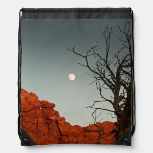 Wicked Moon Drawstring Bag