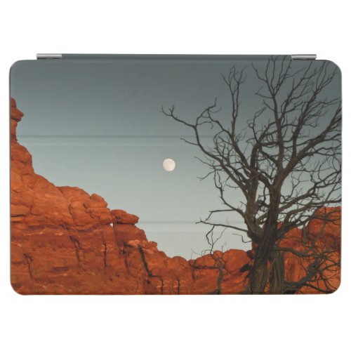 Wicked Moon iPad Air Cover