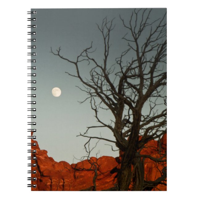 Wicked Moon Notebook (Front)
