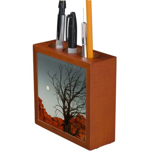 Wicked Moon Pencil Holder