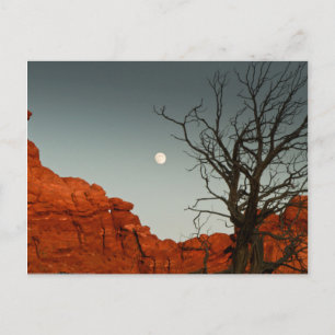 Wicked Moon Postcard