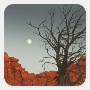 Wicked Moon Square Sticker