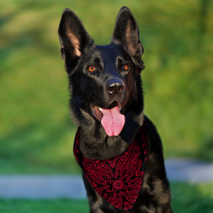 Wicked Style Red and Black Paisley Pet Bandana Collar