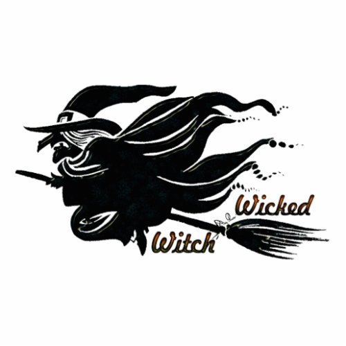 Wicked Witch Photo Sculpture