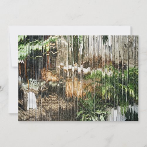 Wicker Chairs and Plants Thank You Card