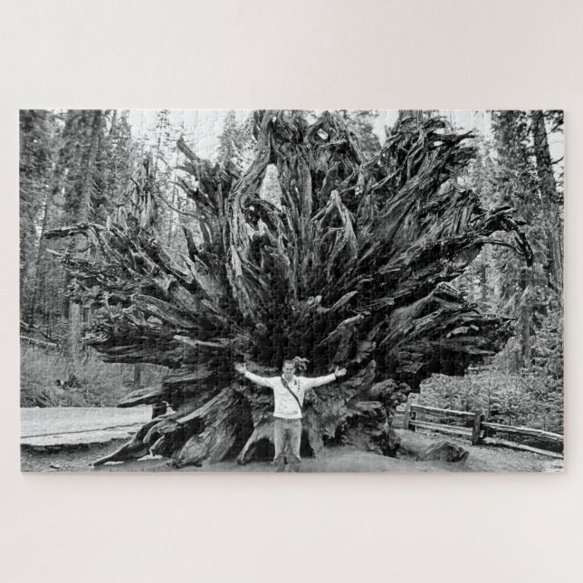 Wide Angle Sequioa Tree Trunk - 20x30 - 1014 pcs. Jigsaw Puzzle (Horizontal)