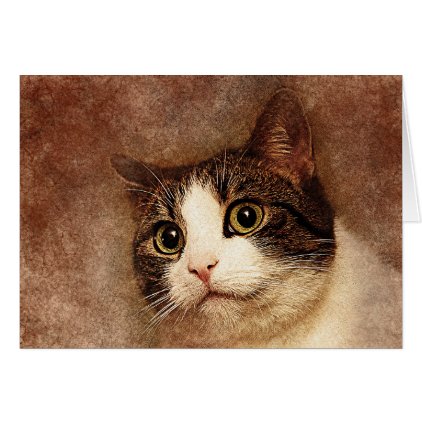 Wide Eyed Kitty Portrait | Abstract | Watercolor Card