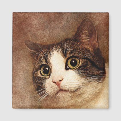 Wide Eyed Kitty Portrait | Abstract | Watercolor Magnet