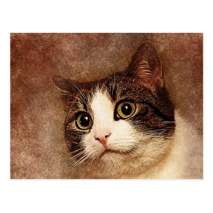 Wide Eyed Kitty Portrait | Abstract | Watercolor Postcard