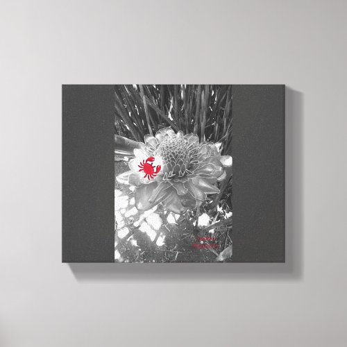 Wide Open Crab Flower Stretched Canvas Print