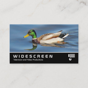 Widescreen 0441 - Mallard Duck Business Card