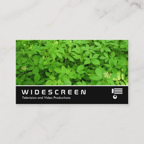 Widescreen 08 Undergrowth Business Card