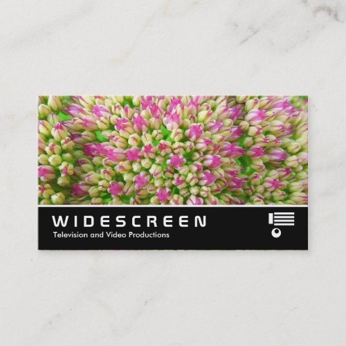 Widescreen 349 _ Sedum Autumn Joy Business Card