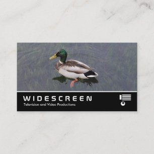 Widescreen 390 - Mallard Duck Business Card
