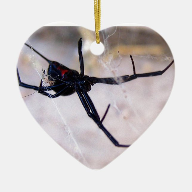 Widow's Web Ceramic Ornament (Front)