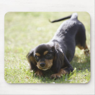 Wiener dog (black) 2 mouse pad