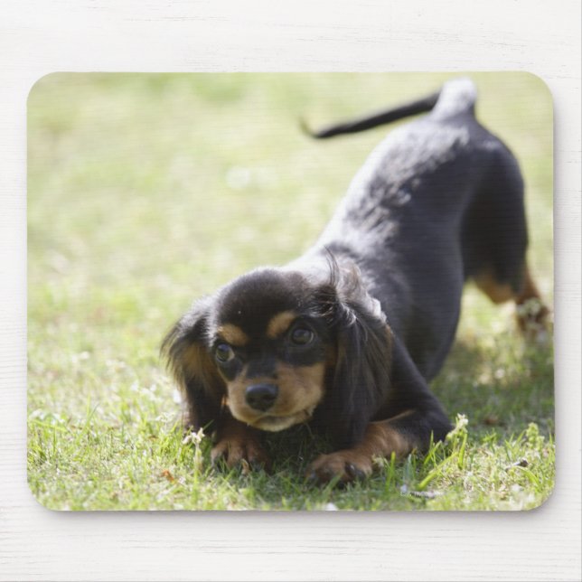 Wiener dog (black) 2 mouse pad (Front)
