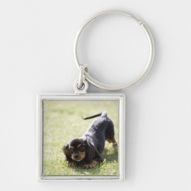 Wiener dog (black) keychain (Front)