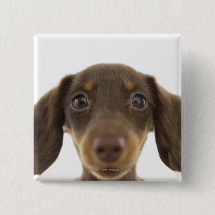 Wiener Dog (brown) 2 Button