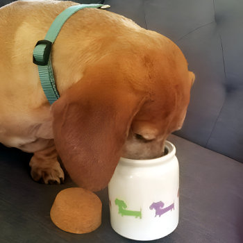 Wiener Dog Dachshund Treat Jar Personalize by Smoothe1 at Zazzle