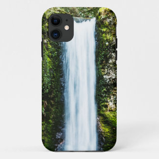 Wiesendanger Falls Painting iPhone 11 Case