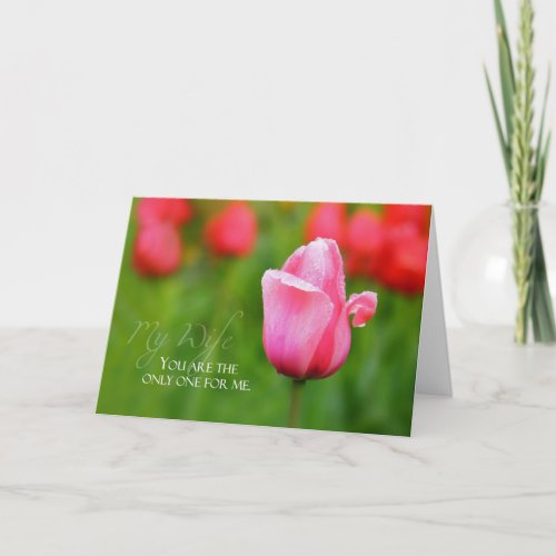 Wife Anniversary With Pink Tulip Card