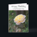 Wife Birthday Flowers or for Anyone Card<br><div class="desc">Happy Birthday to my beautiful wife.  Love written in white script against pretty yellow rose with pastel pink hue.  Leave special message inside,  or personalize outside and inside for anyone.  Handpainted small flowers on inside left-hand side with message in script.  Original Photography,  Artwork and Card Verse Design © TamiraZDesigns</div>
