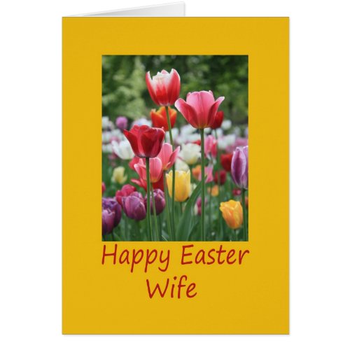 Wife Happy Easter Tulip card