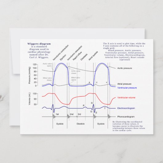 Wiggers Diagram (Front)