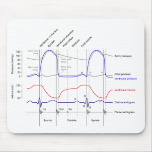 Wiggers Diagram cardiaccycle events left ventricle Mouse Pad