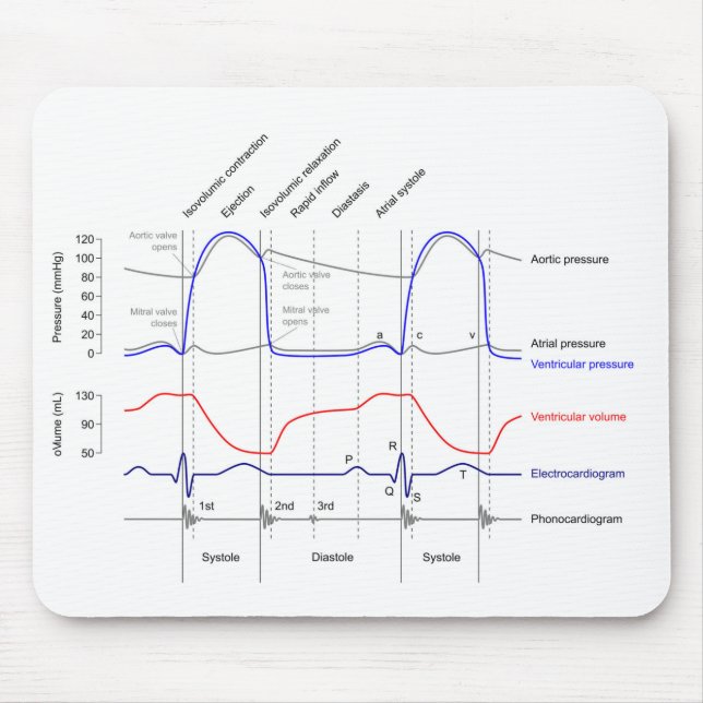 Wiggers Diagram cardiaccycle events left ventricle Mouse Pad (Front)