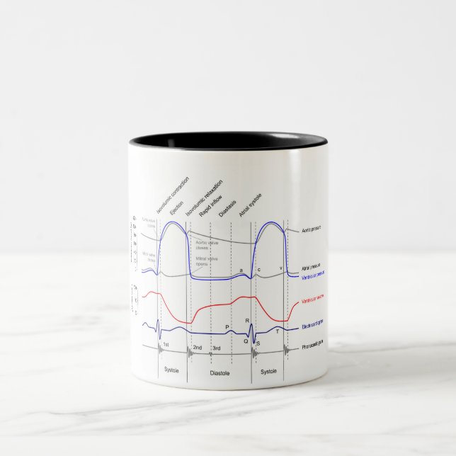 Wiggers Diagram cardiaccycle events left ventricle Two-Tone Coffee Mug (Center)