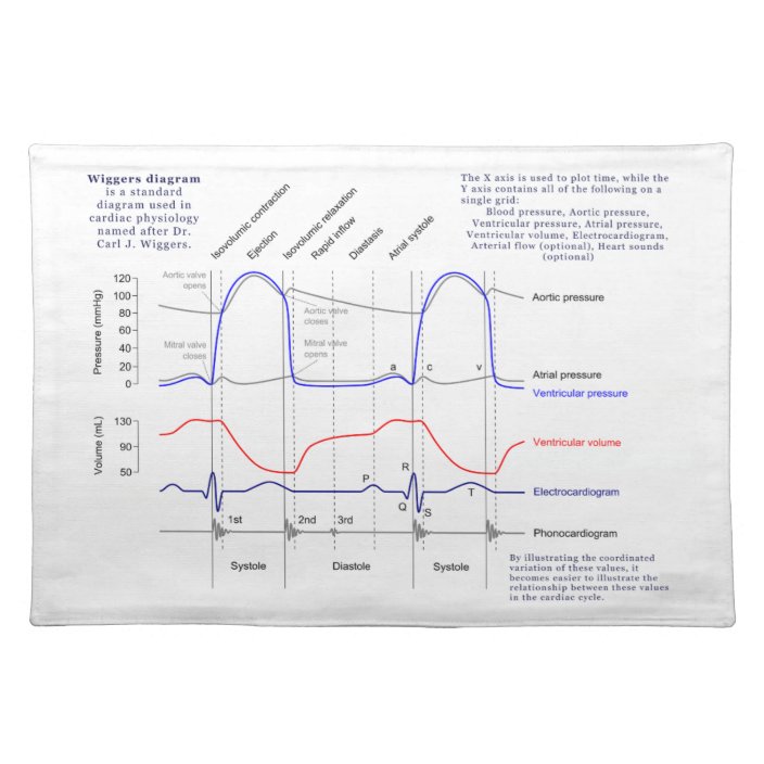 blank-wiggers-diagram-template