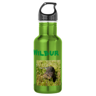 Wilbur Name With Lizard, Water Bottle