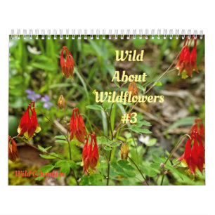 Wild Abourt Wildflowers #3 Calendar